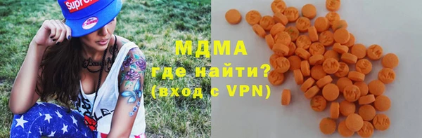 шишки Ельня