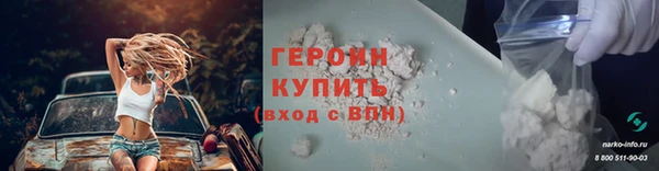 шишки Ельня