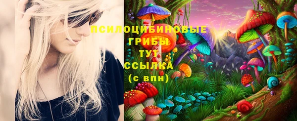твердый Нефтегорск