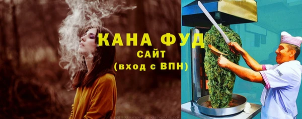 шишки Ельня