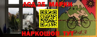 гидра Будённовск