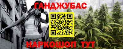 гидра Будённовск