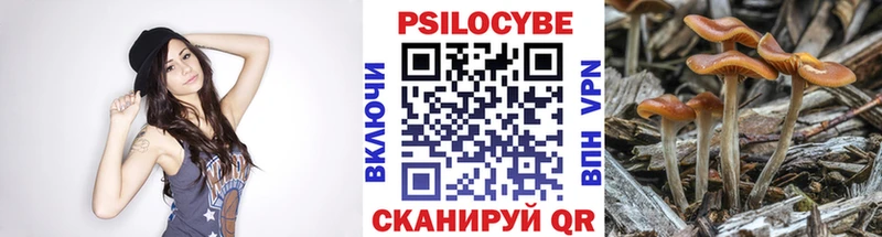 Псилоцибиновые грибы мицелий  где можно купить наркотик  Ирбит 