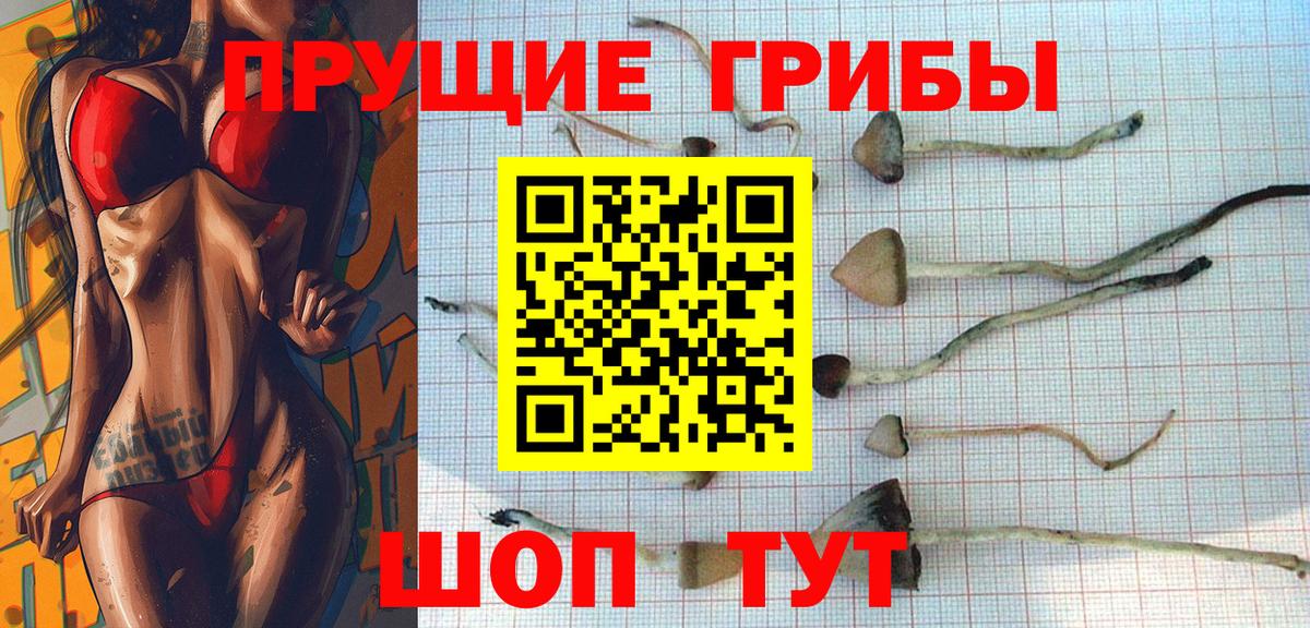 Галлюциногенные грибы Psilocybine cubensis  цены   Псилоцибиновые грибы Magic Shrooms  Ирбит 