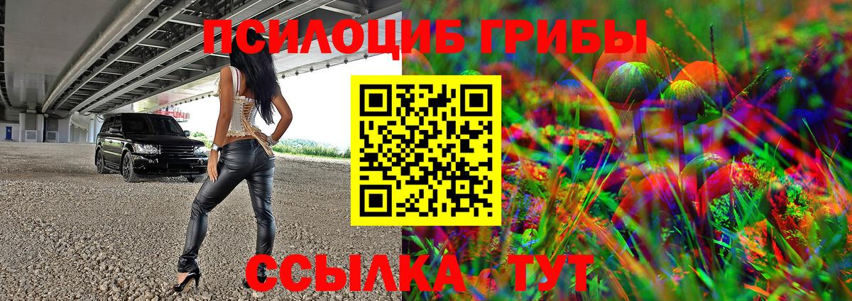 цены   Псилоцибиновые грибы GOLDEN TEACHER  Вход с VPN  Ирбит  Галлюциногенные грибы MAGIC MUSHROOMS 