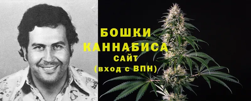 Канабис White Widow  закладка  мега ССЫЛКА  Ирбит 